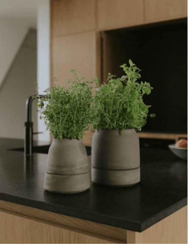 Bergs Potter - Viva RAW Grey  14 cm